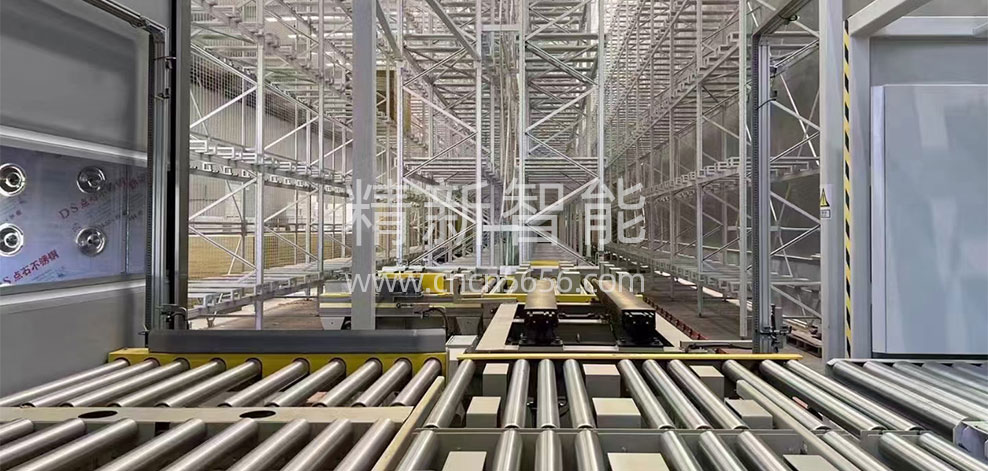 AS/RS Project for Cold Chain Foods